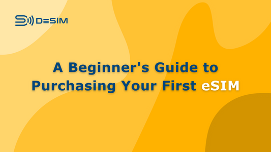 A Beginner's Guide to Purchasing Your First eSIM